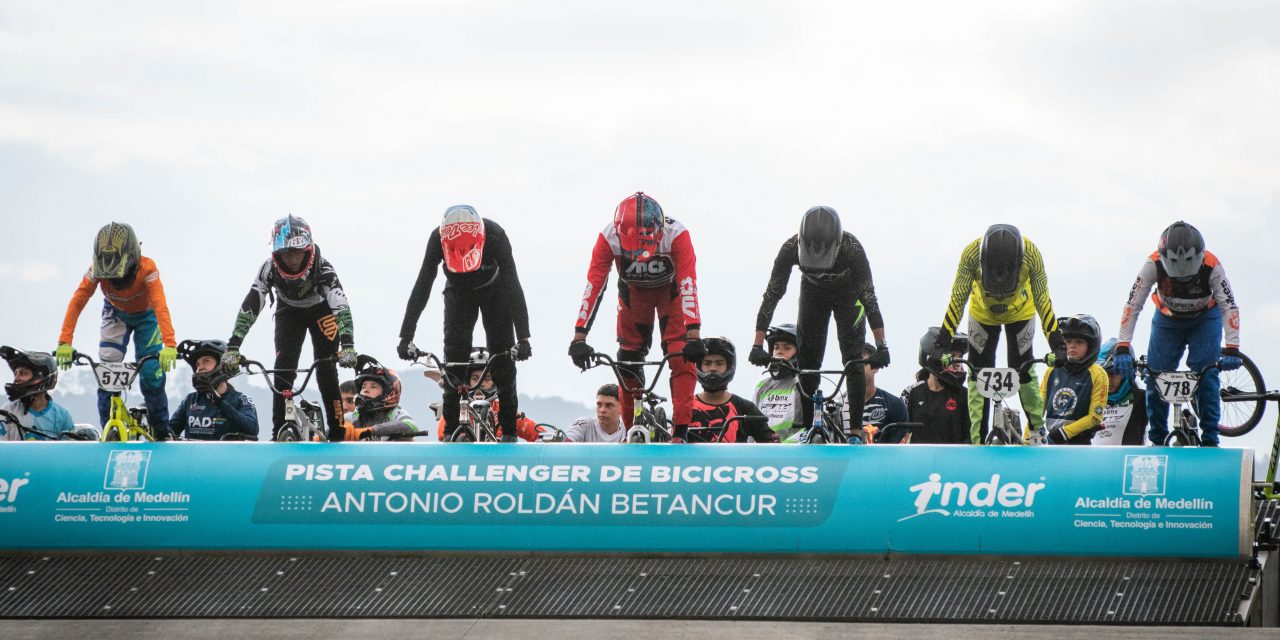 Águilas, Saltamontes y Riders: A por todo en la final de la Copa Interclubes